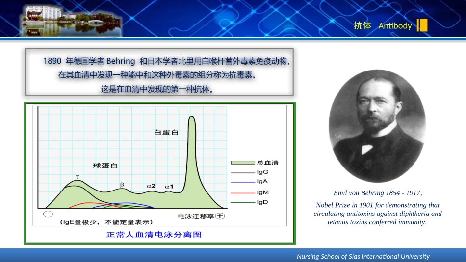 医学免疫学课件抗体_第3页