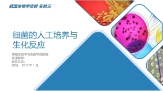 医学免疫学实验课件实验三细菌的人工培养
