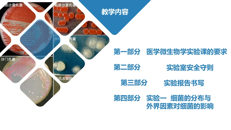 医学免疫学实验课件实验一细菌的分布和理化因素对细菌的影响_第2页