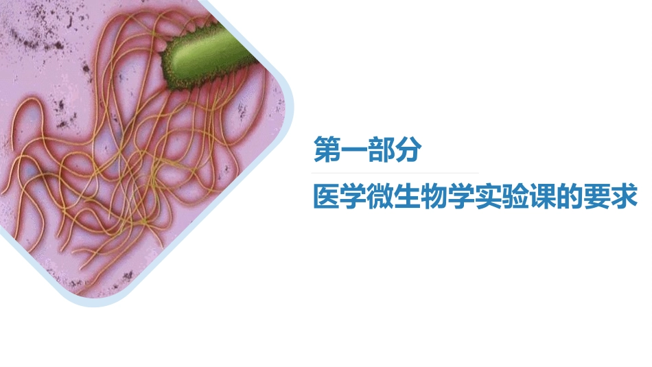 医学免疫学实验课件实验一细菌的分布和理化因素对细菌的影响_第3页
