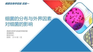 医学免疫学实验课件实验一细菌的分布和理化因素对细菌的影响