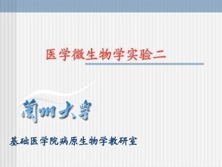 医学微生物学实验二精