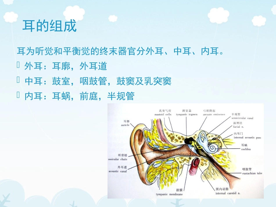 医学影像耳的CT影像解剖及常见疾病诊疗_第2页