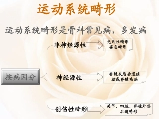 医学运动系统畸形