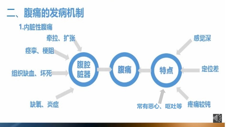 医学诊疗学腹痛的诊疗思路_第3页