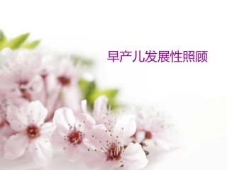 医院早产儿发展性照顾