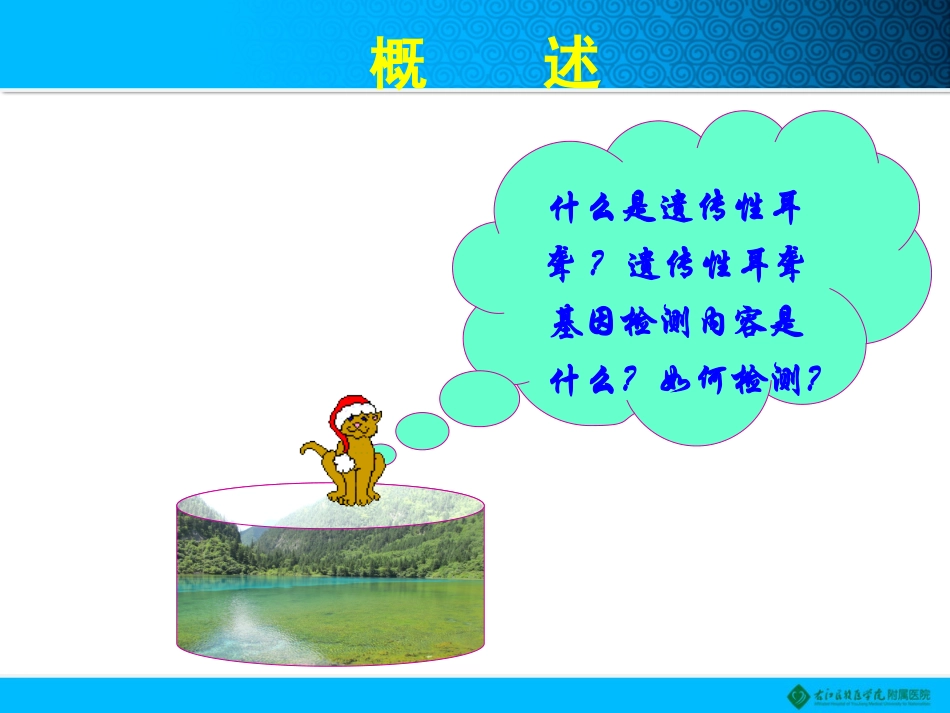 遗传性耳聋检测素材_第2页