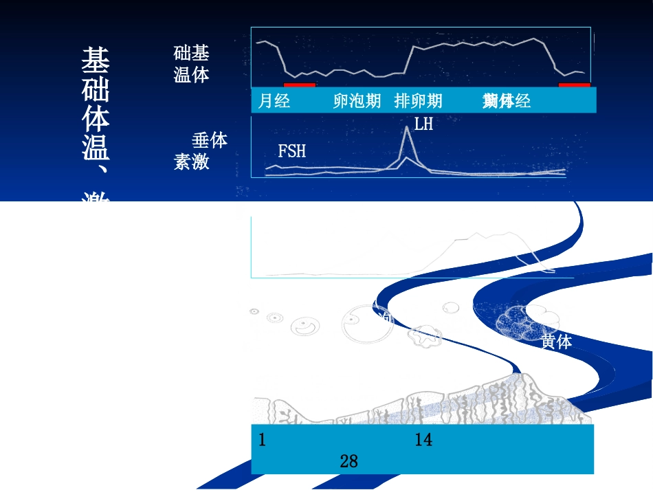 异常子宫出血课件_第3页