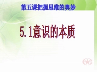 意识的本质自己文