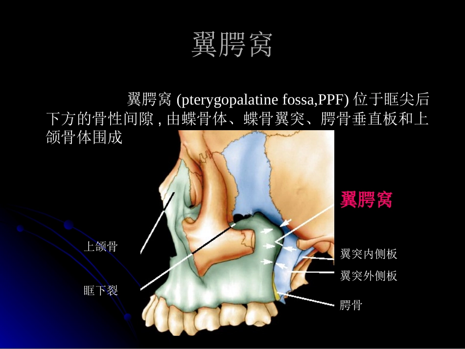 翼腭窝的解剖和影像识别_第2页