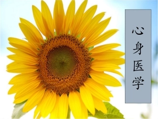 应激相关障碍分析