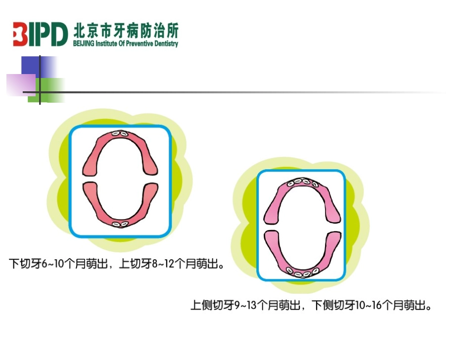 婴幼儿口腔保健_第3页