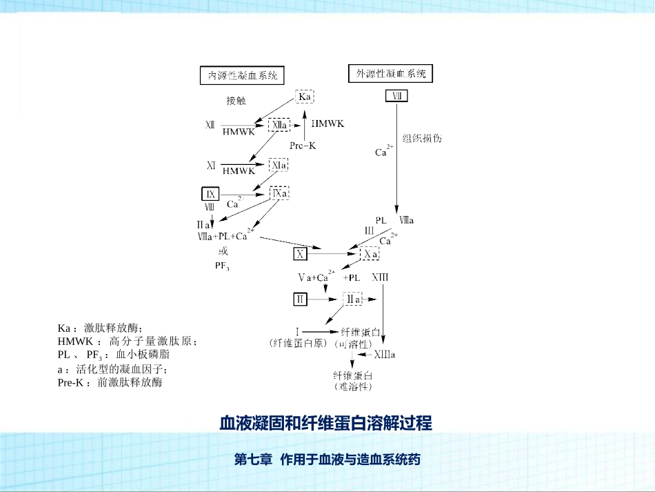 用药护理作用于血液和造血系统药_第3页