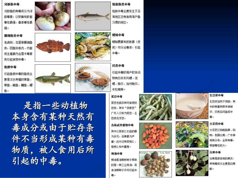 有毒动植物中毒_第2页