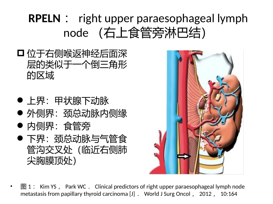 右喉返神经后方淋巴结清扫在PTC中的价值_第3页