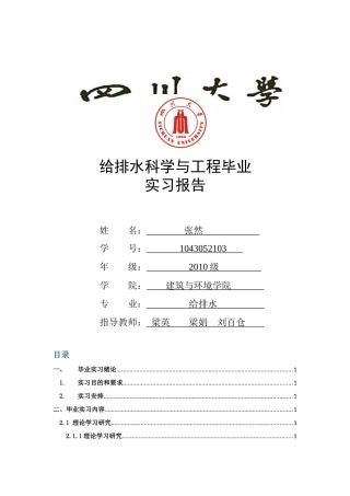 四川大学毕业实习报告-2010级