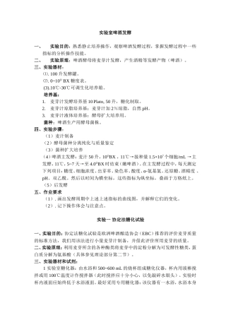 啤酒发酵实验
