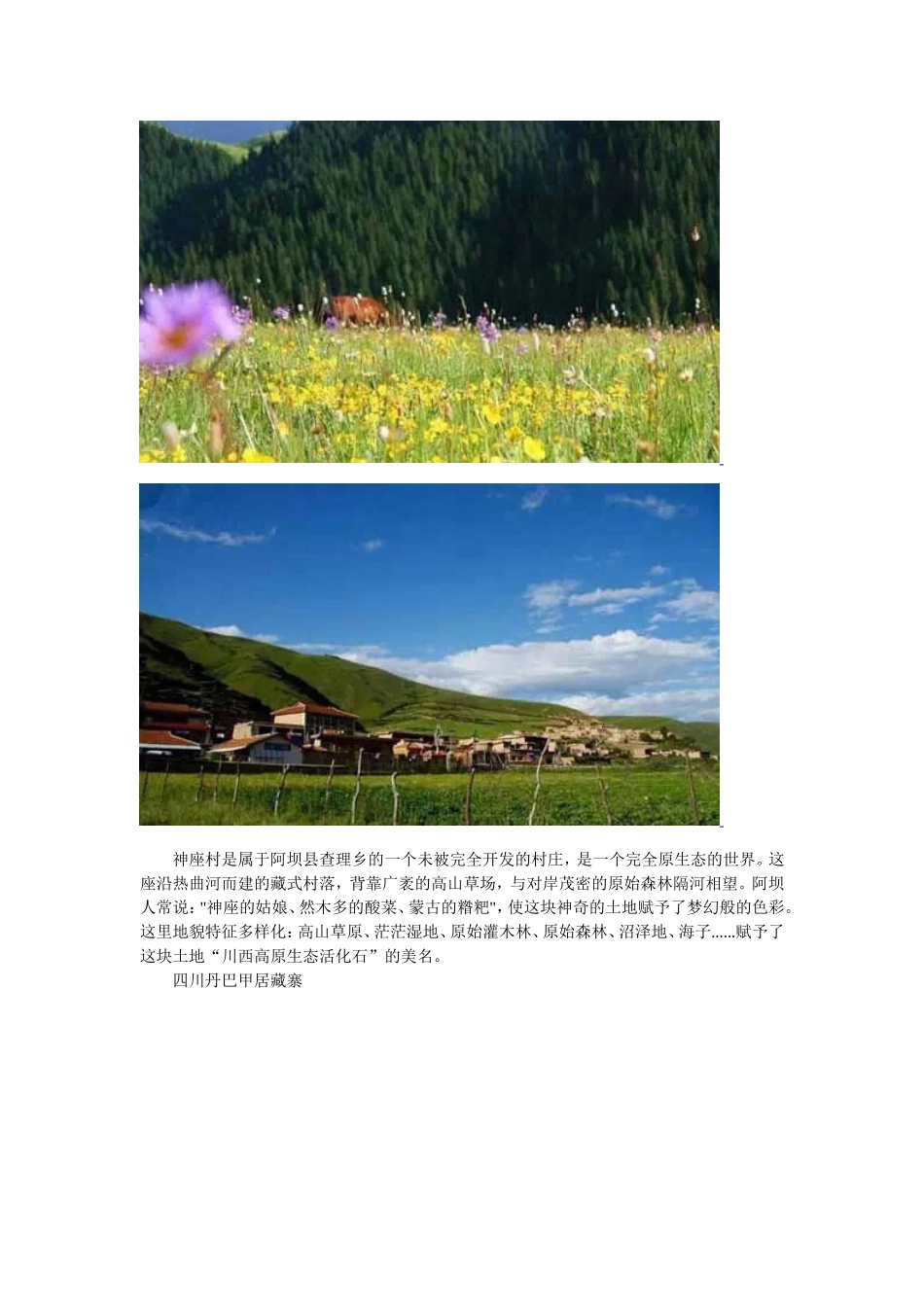 四川乡村游值得去的十个地方_第2页