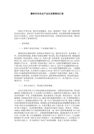 嘉峪关市农业产业化发展情况汇报-模板