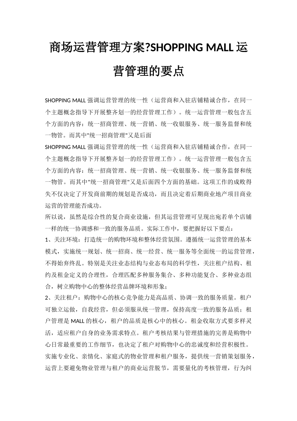 商场运营管理方案_第1页