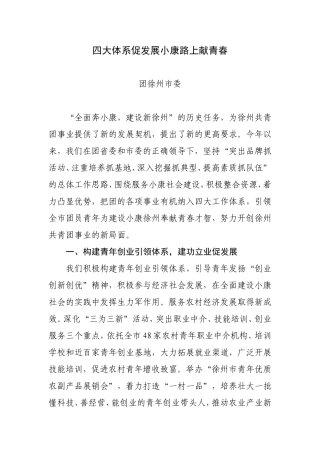 四大体系促发展小康路上献青春