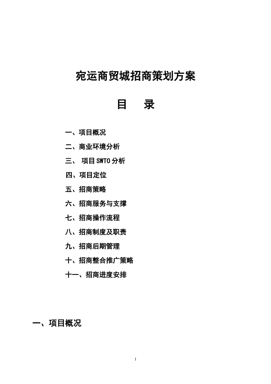 商超招商策划方案_第1页