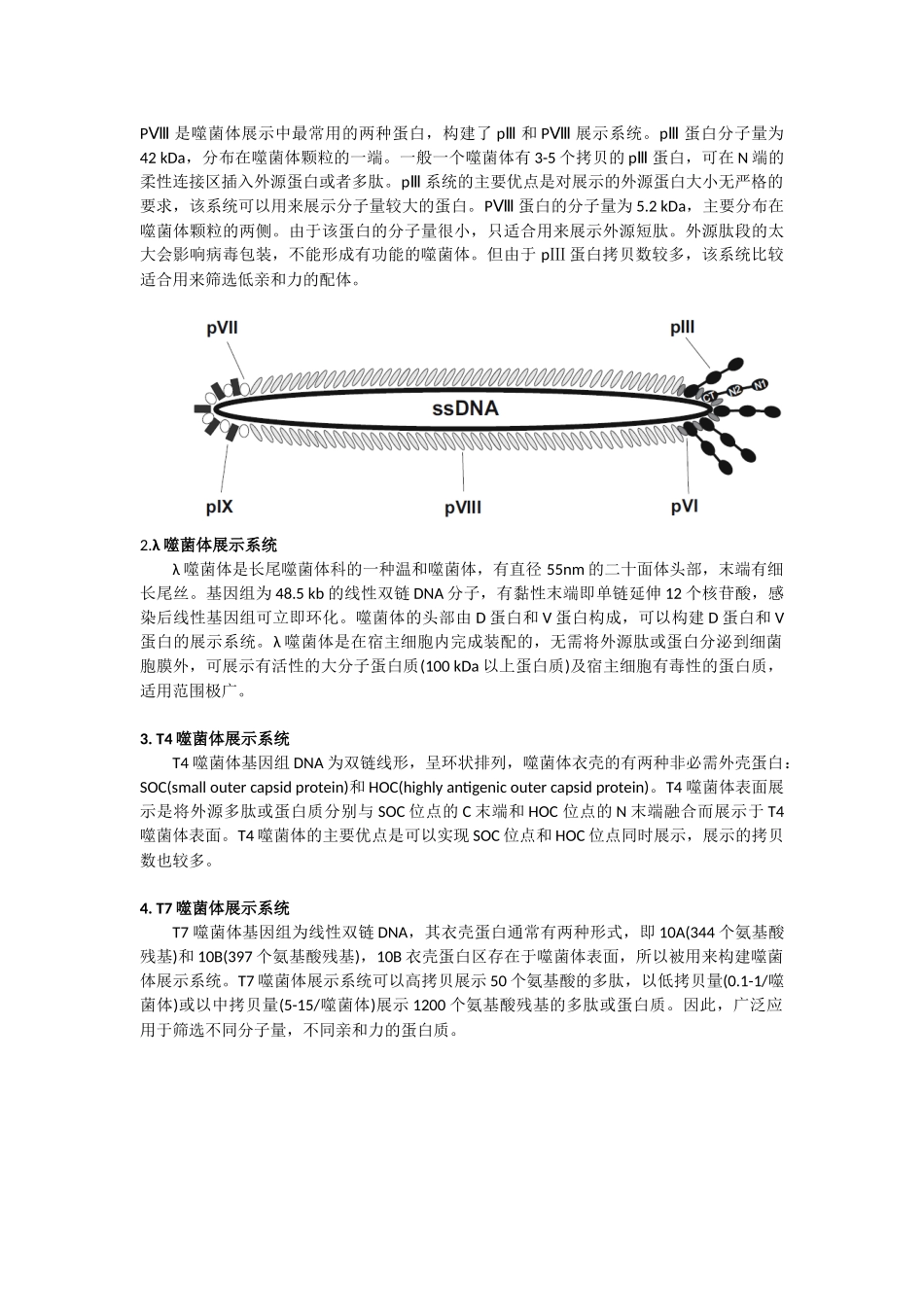 噬菌体展示技术解析_第2页