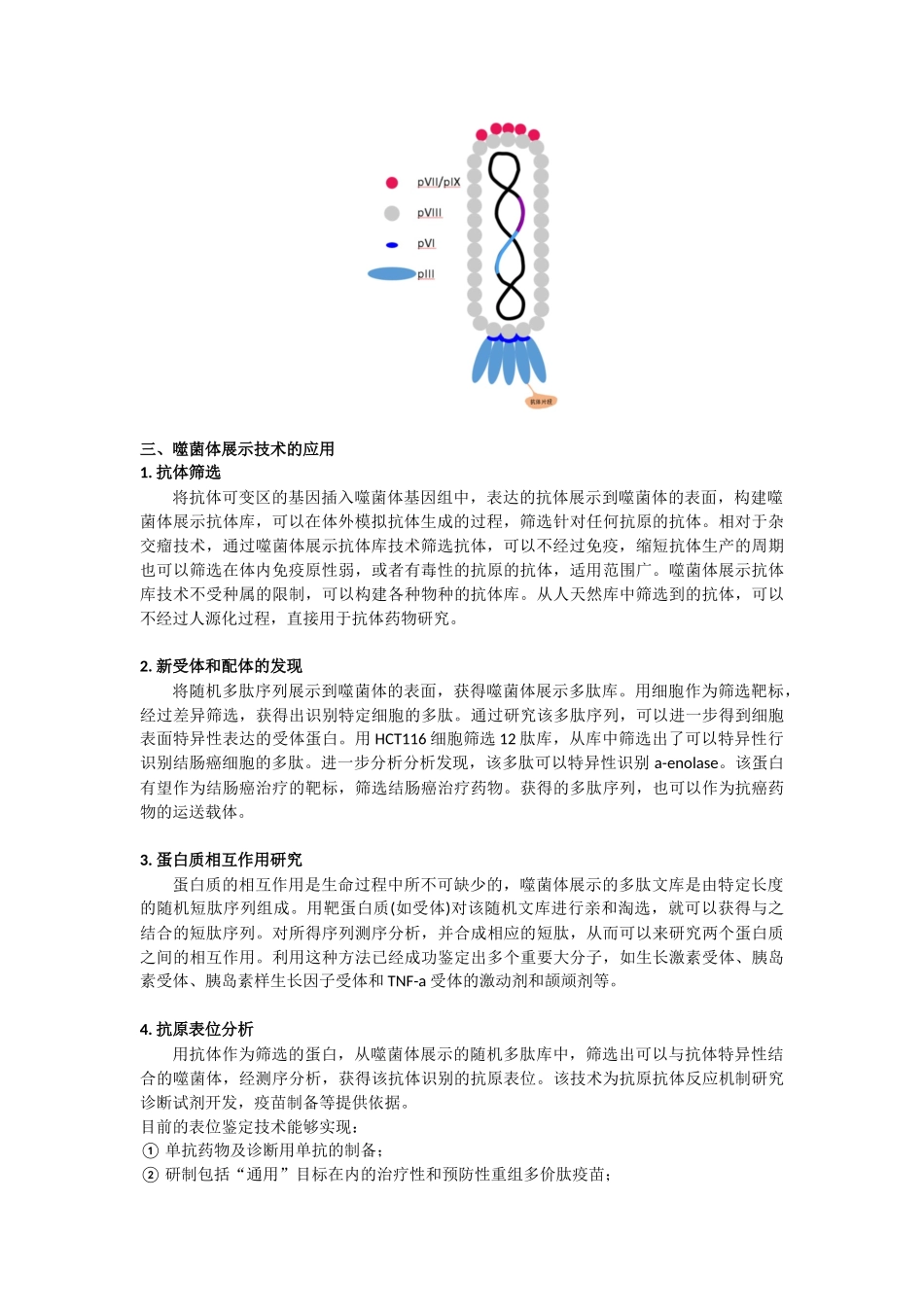 噬菌体展示技术解析_第3页
