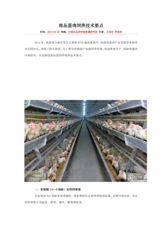商品蛋鸡饲养技术要点