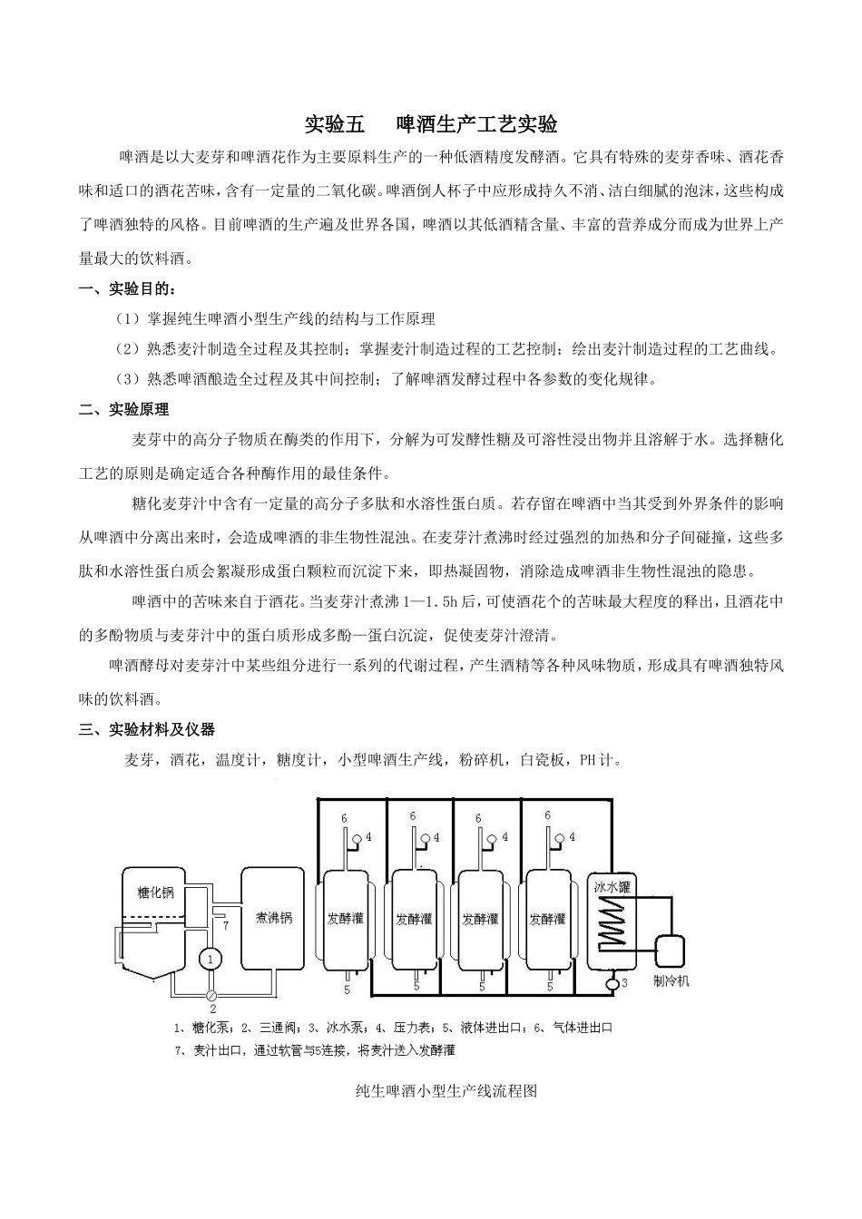 啤酒酿造实验_第1页