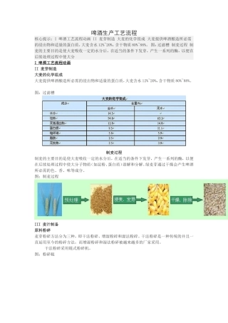 啤酒生产工艺流程(同名9199)
