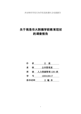 商洛市商州区大荆镇学前教育现状调查报告