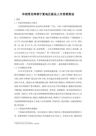 啤酒新品上市策划