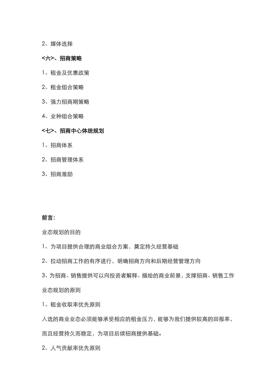 商贸城营销策划方案_第2页