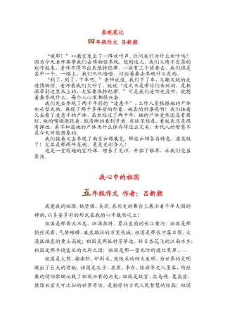 四五六年级作文