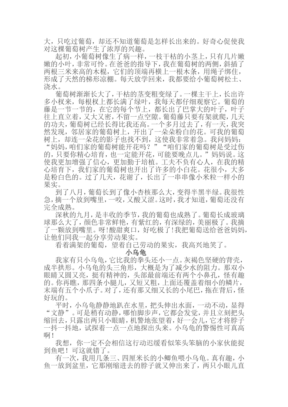 四下第三单元《大自然的启示》优秀习作_第2页