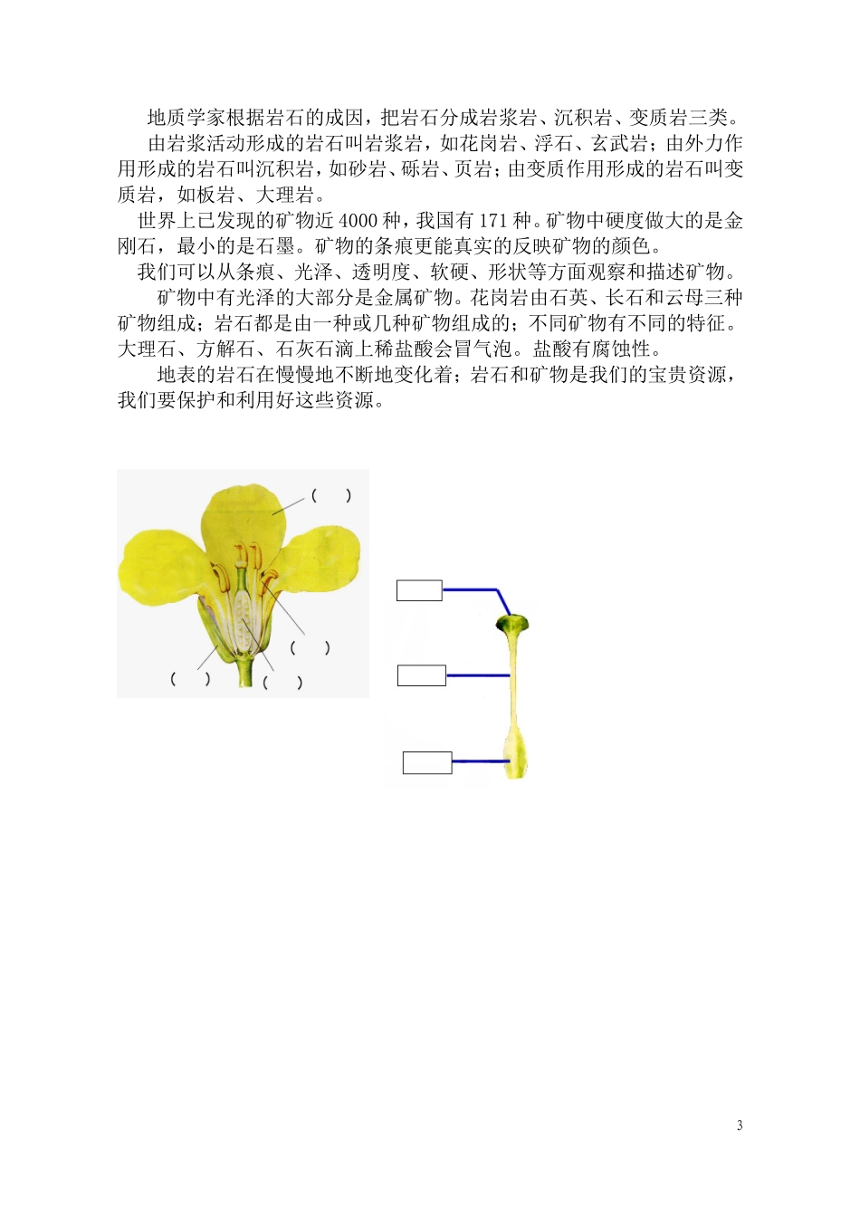 四下科学知识与操作_第3页