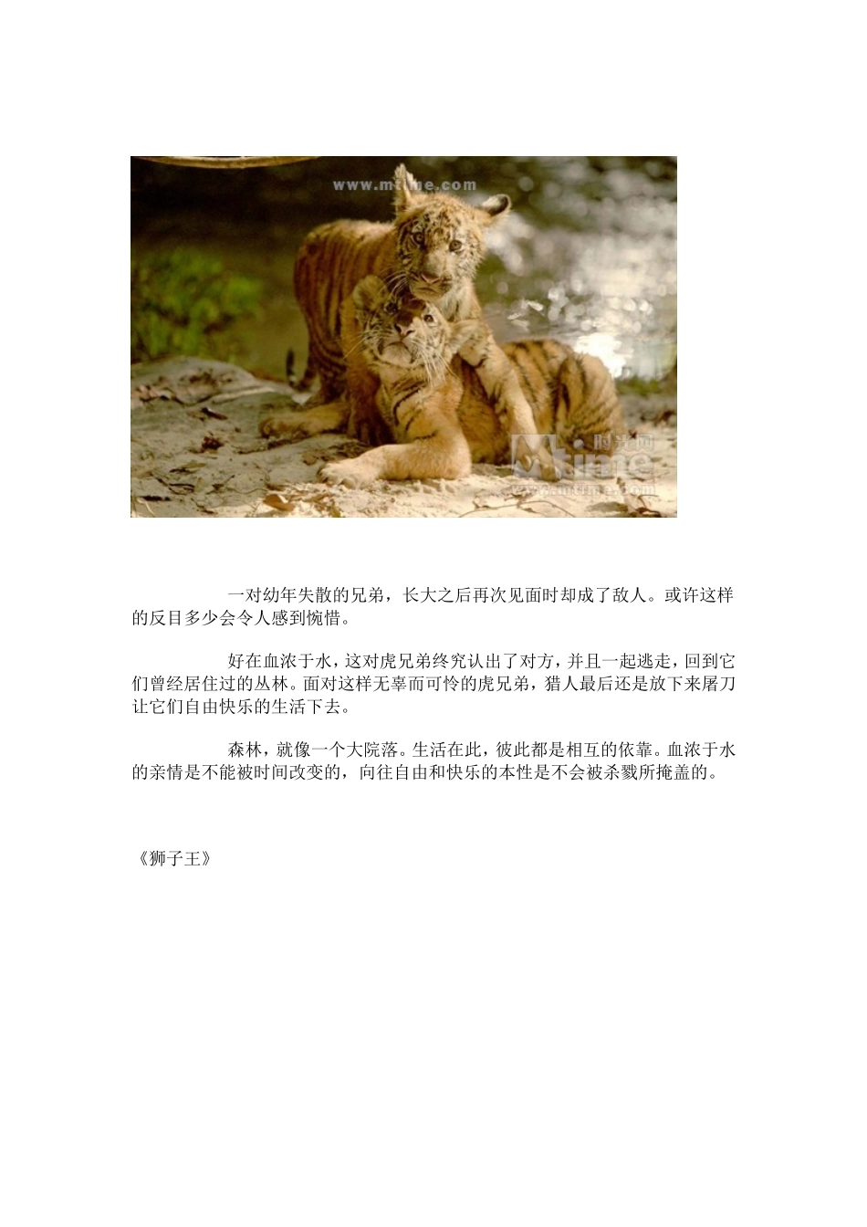 嘘!静静听森林讲故事——盘点丛林电影_第2页