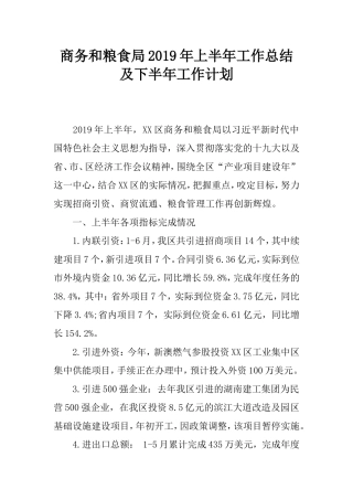 商务和粮食局2019年上半年工作总结及下半年工作计划