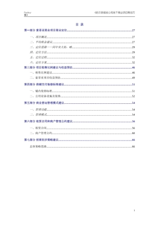 哈尔滨索菲亚商业项目商业策划方案完071115
