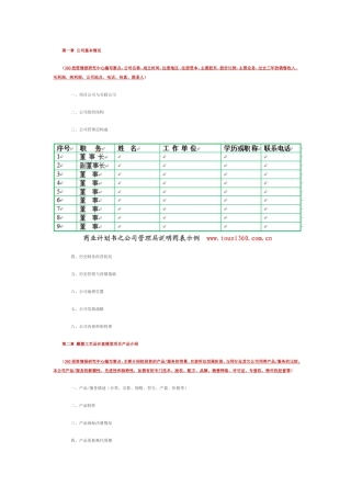 商业计划书format
