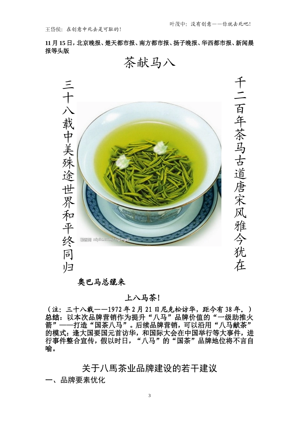 品牌策划作品集_第3页