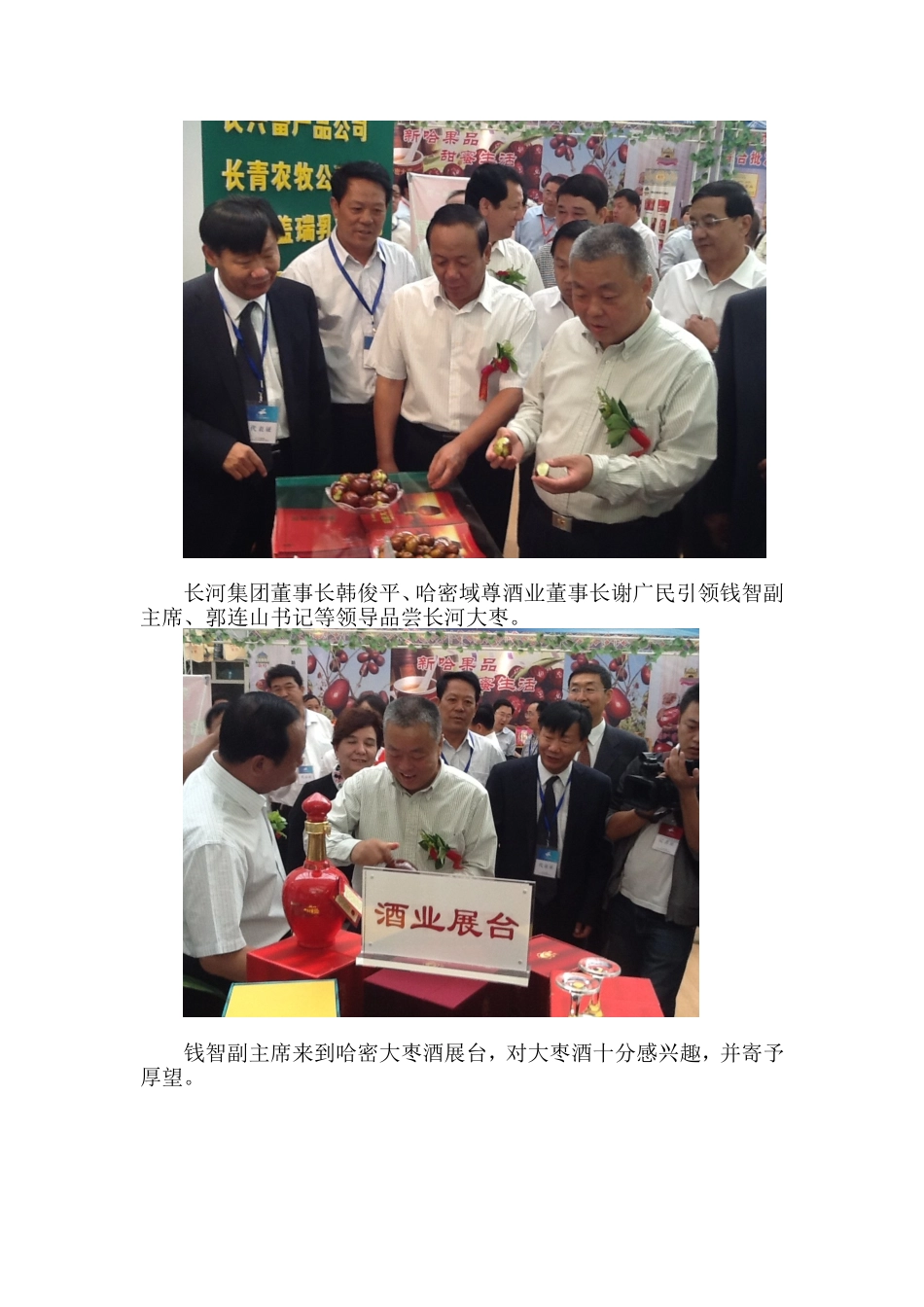 哈密大枣酒“红枣高峰论坛”展风采_第3页