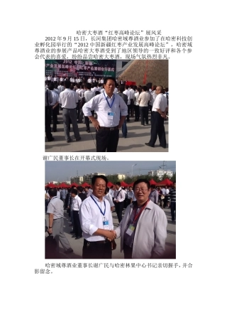 哈密大枣酒“红枣高峰论坛”展风采