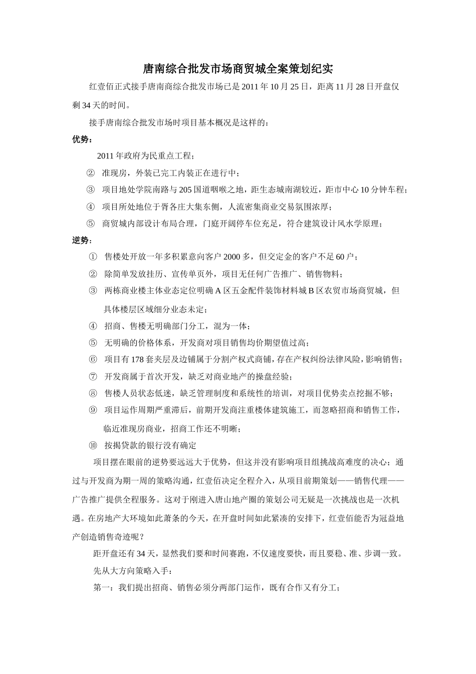 唐南综合批发市场商贸城全案策划纪实_第1页