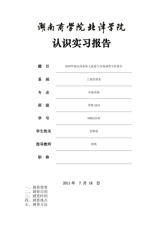 商业街人流量与市场调查分析报告