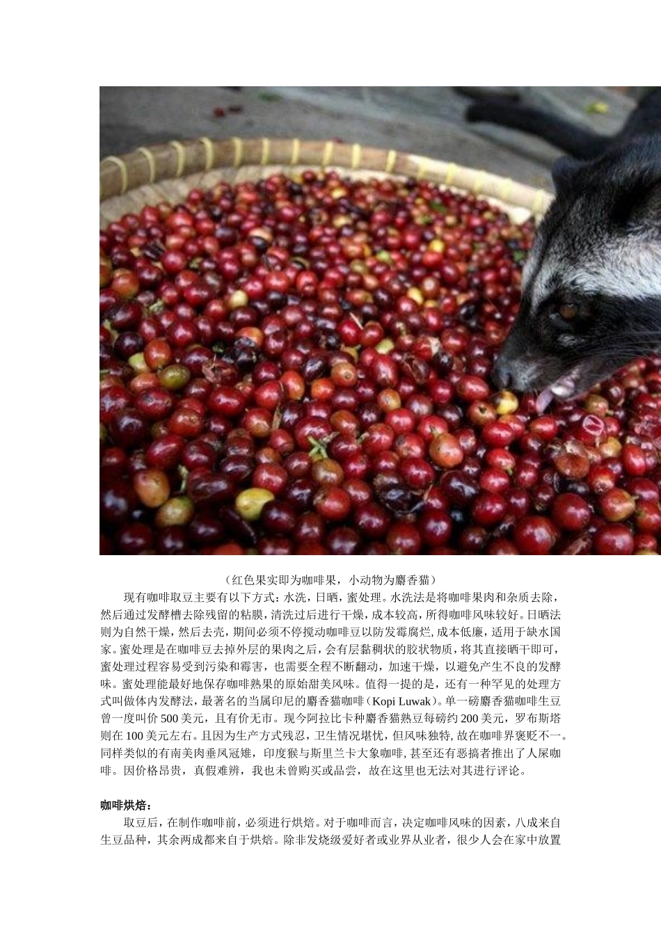 咖啡制作介绍_第2页