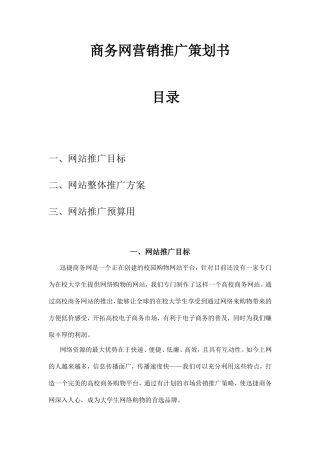 商务网营销推广策划书