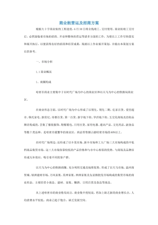 商业街营运及招商方案