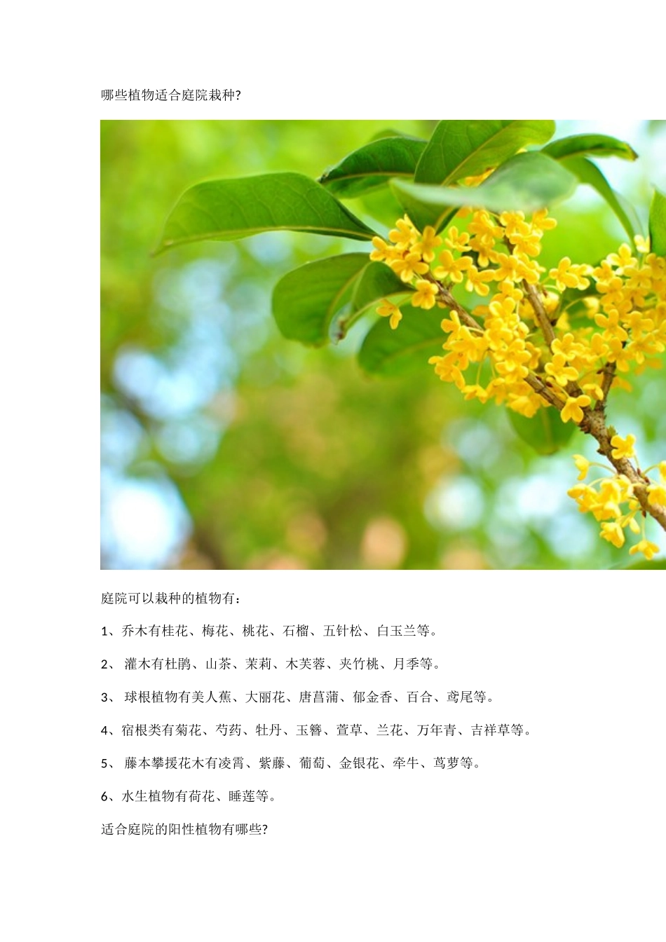 哪些植物适合庭院栽种_第1页